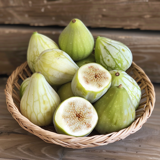 Kadota Fig Tree